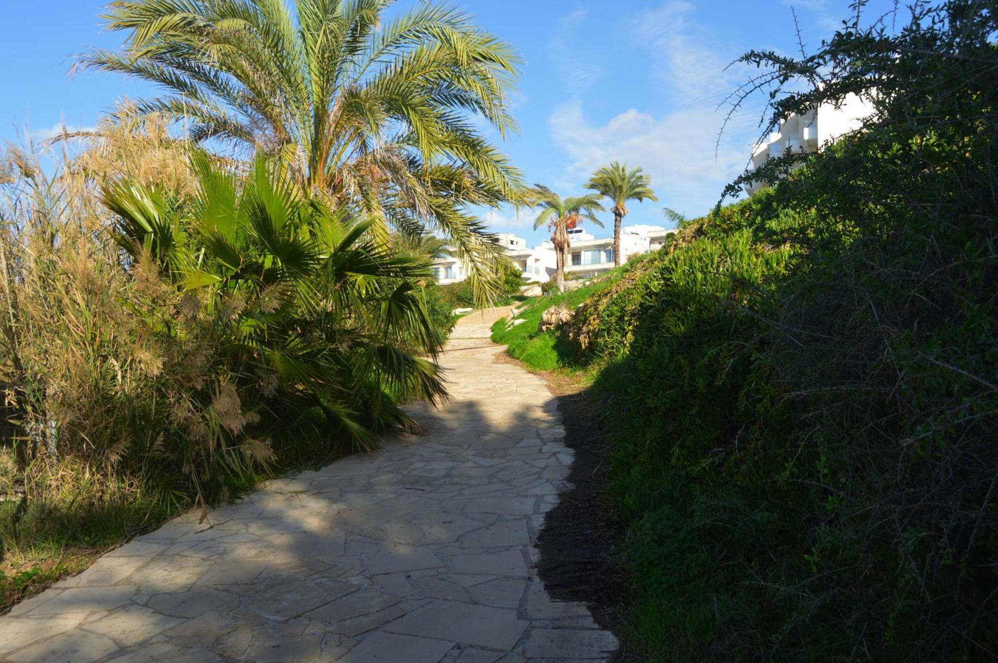 Olymp Luxury Villa D - Luxury Escape With Direct Beach Access And Unique Sunsets Paphos 外观 照片